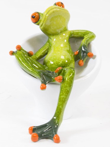 Żaba siedząca w fotelu 108658