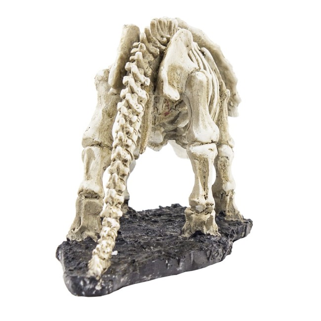 4 - Figura szkieletu dinozaura.jpg